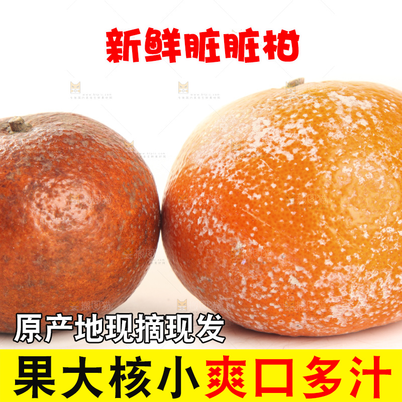 白底上的茂谷柑