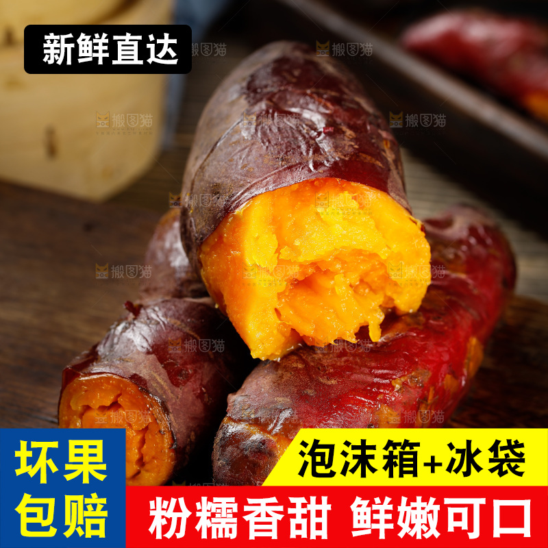 深底上的福建六鳌蜜薯