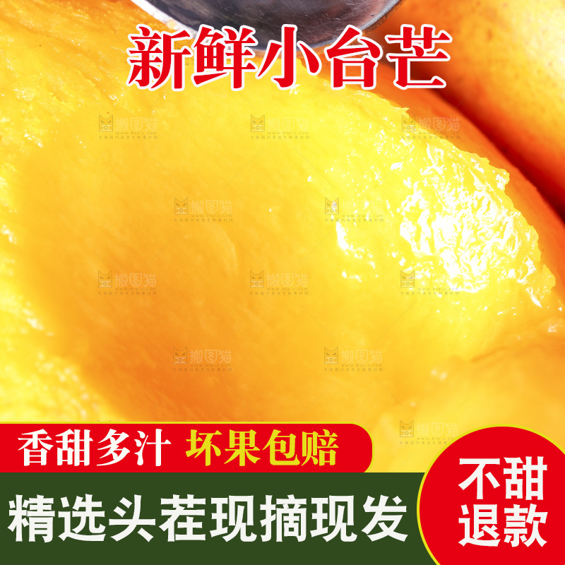 浅底上的小台芒