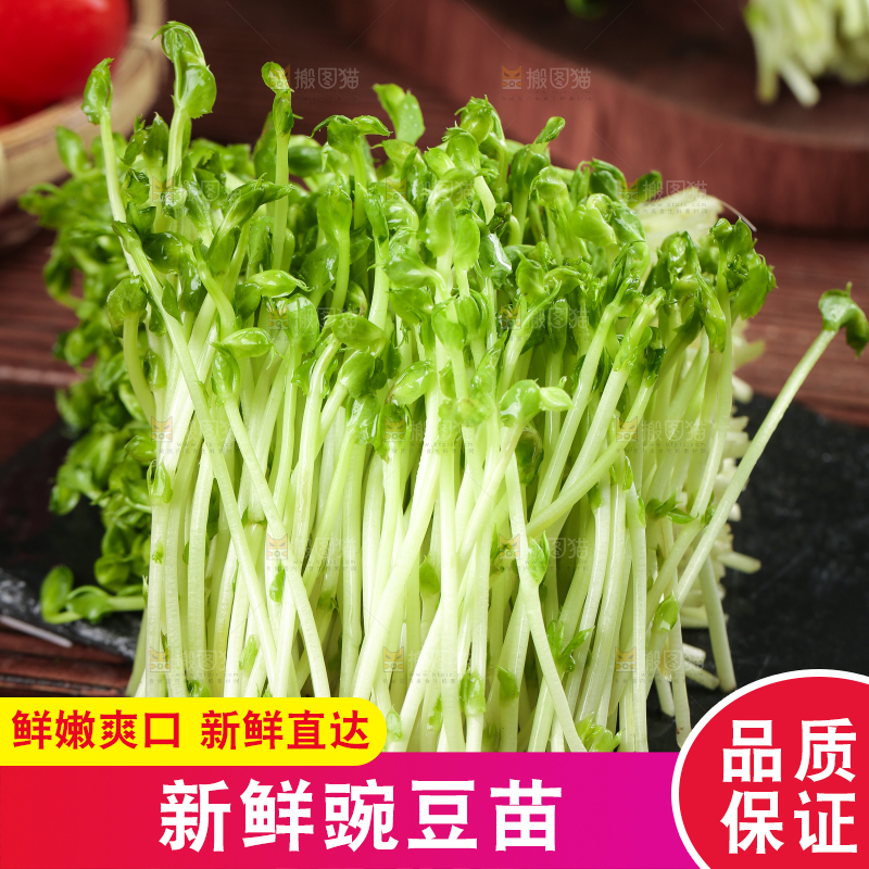 黑石板上的豌豆芽苗菜