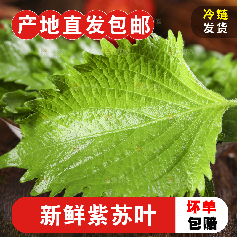 木底上的新鲜紫苏叶