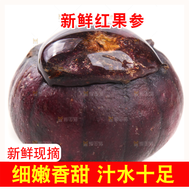 白底上的红果参