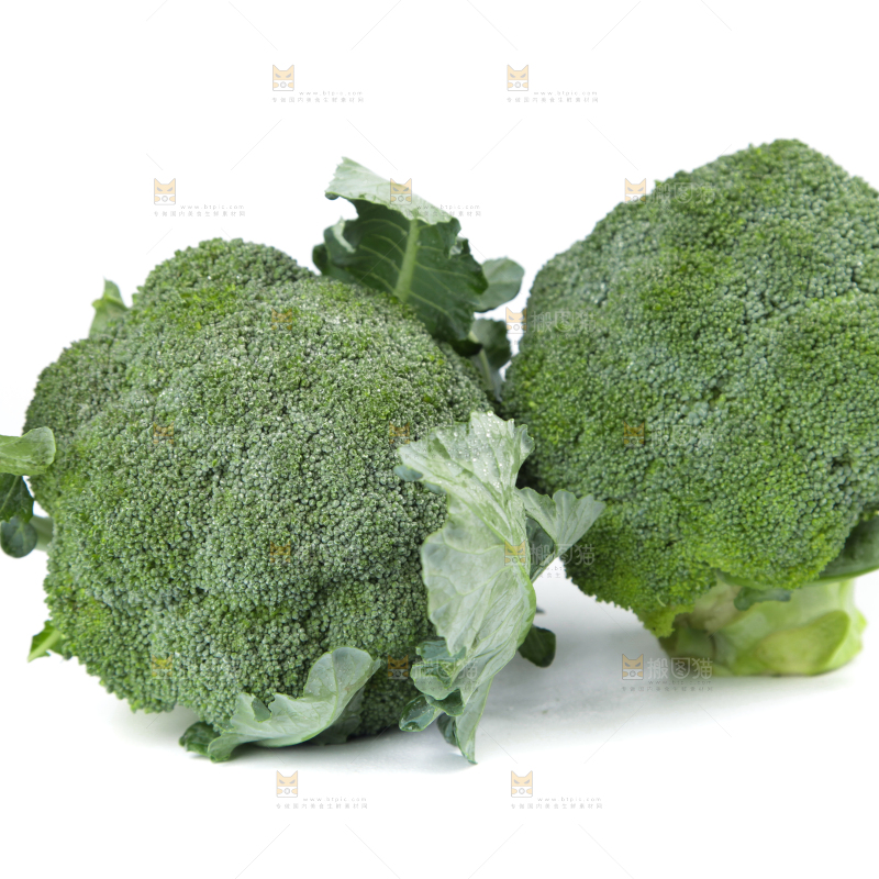 白底上的新鲜西兰花