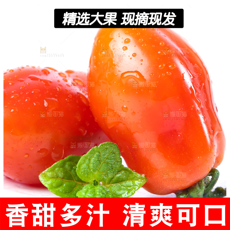 白底上摆放着丹东409小柿子