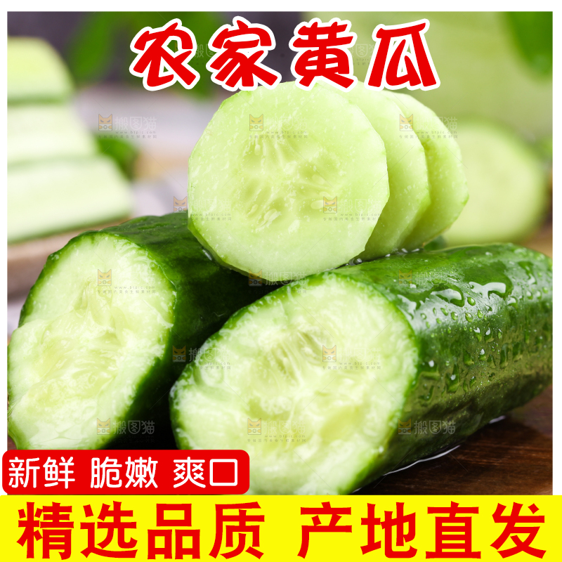 木板上放着无刺小黄瓜