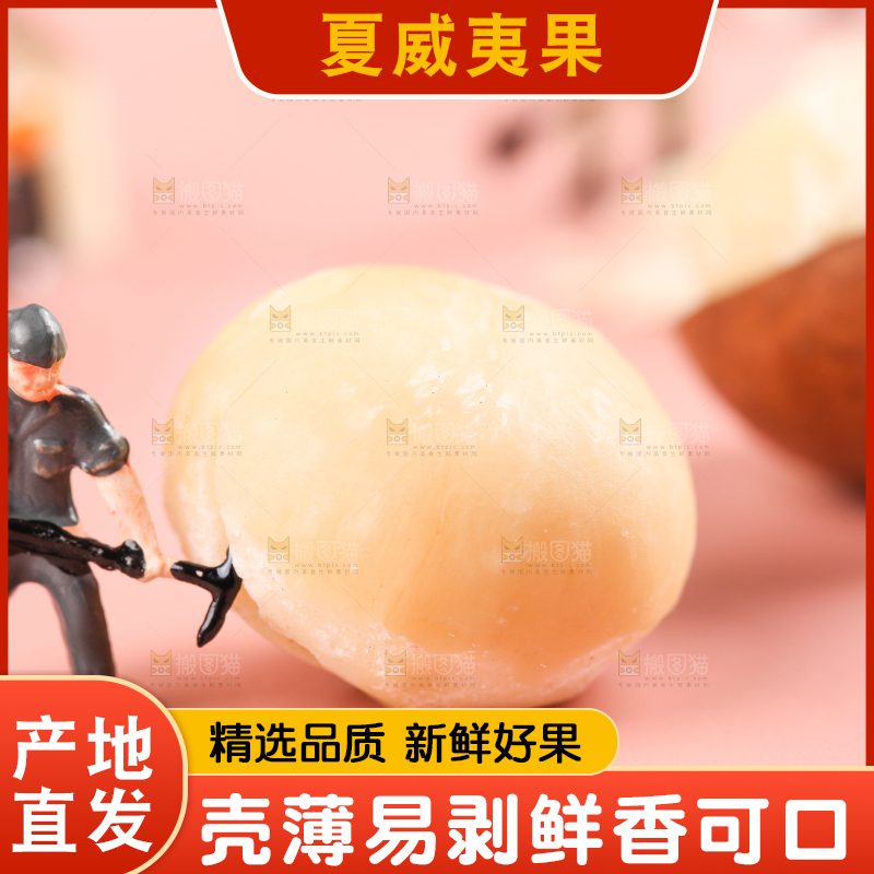 浅底上的夏威夷果