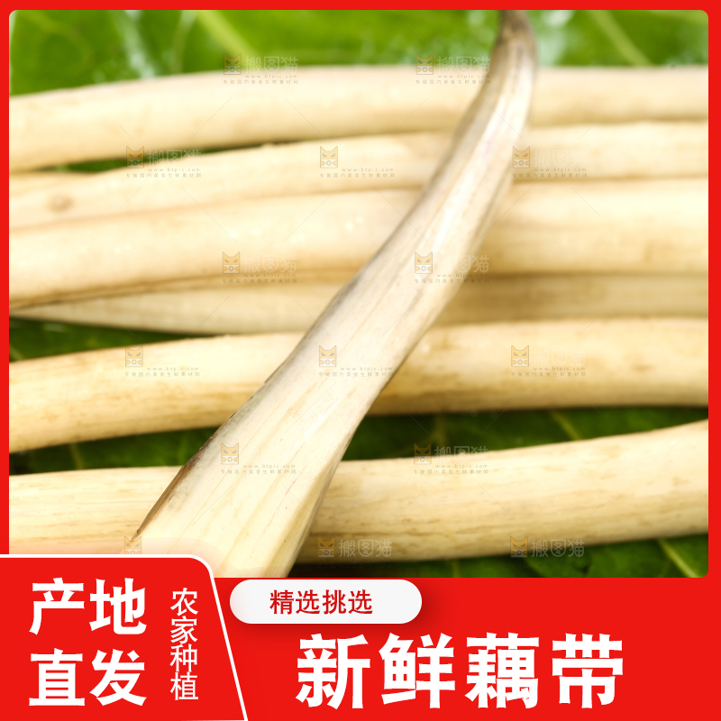 荷叶上放着洪湖藕带