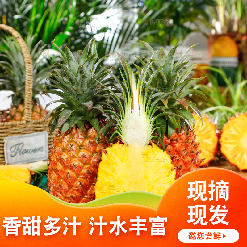 木盘上放着金钻凤梨