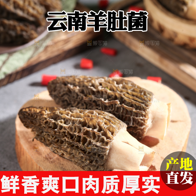 木板上的野生羊肚菌