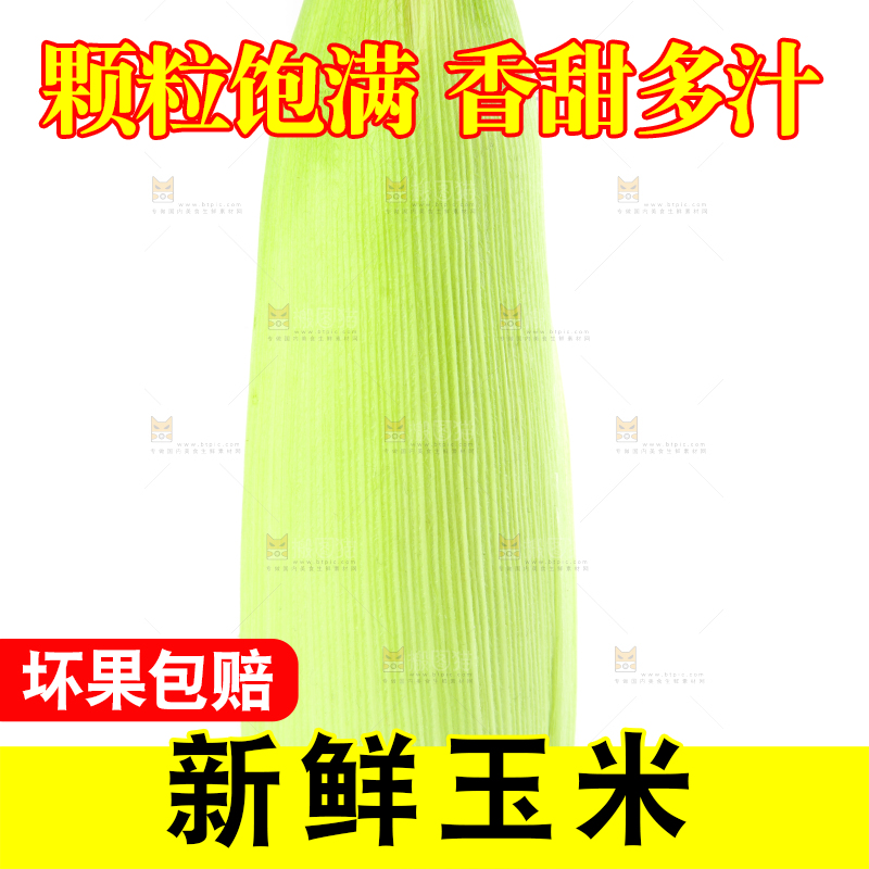 白底上摆放着苞谷