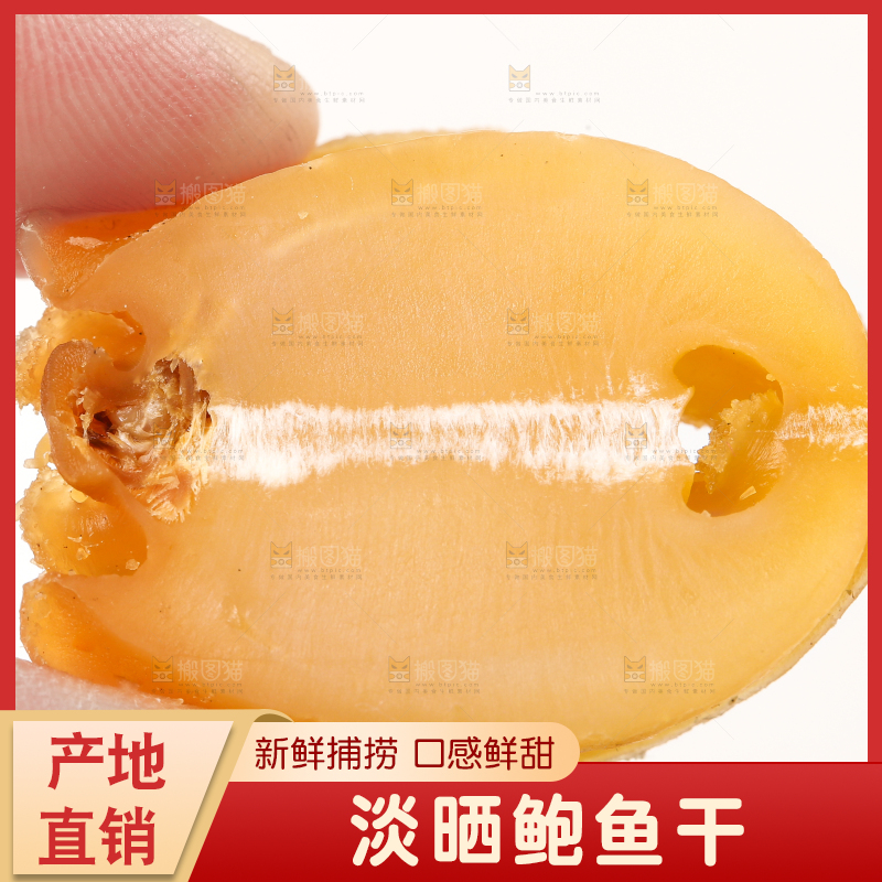 手拿鲍鱼干