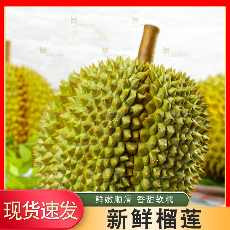 蓝底上的巴掌榴莲