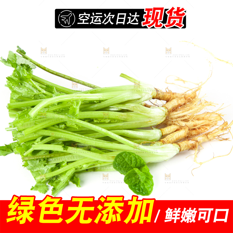 白底上的香菜段