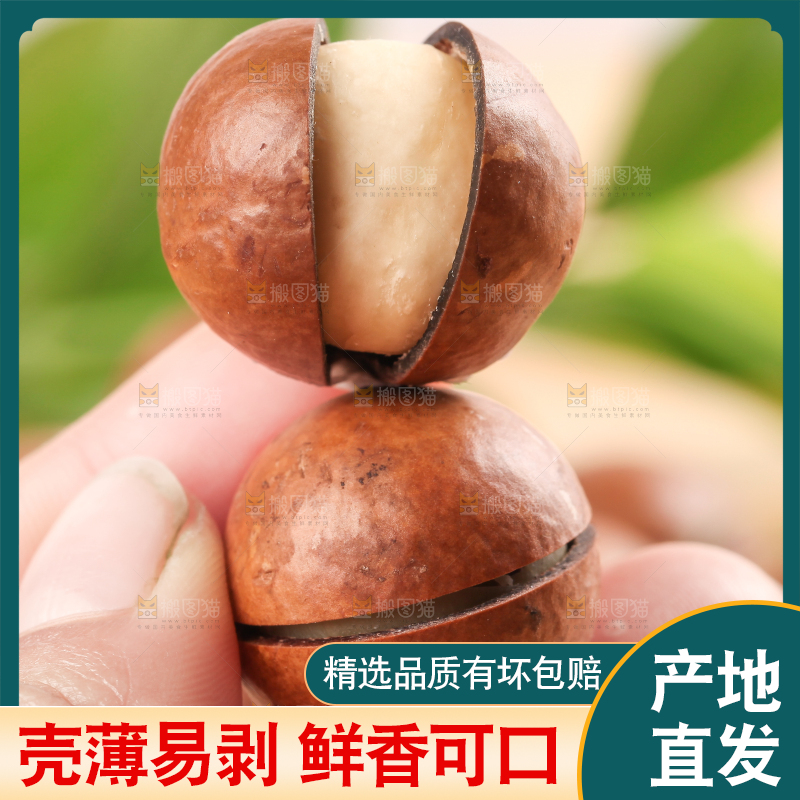 手拿夏威夷果