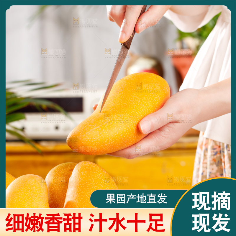 手拿新鲜金煌芒