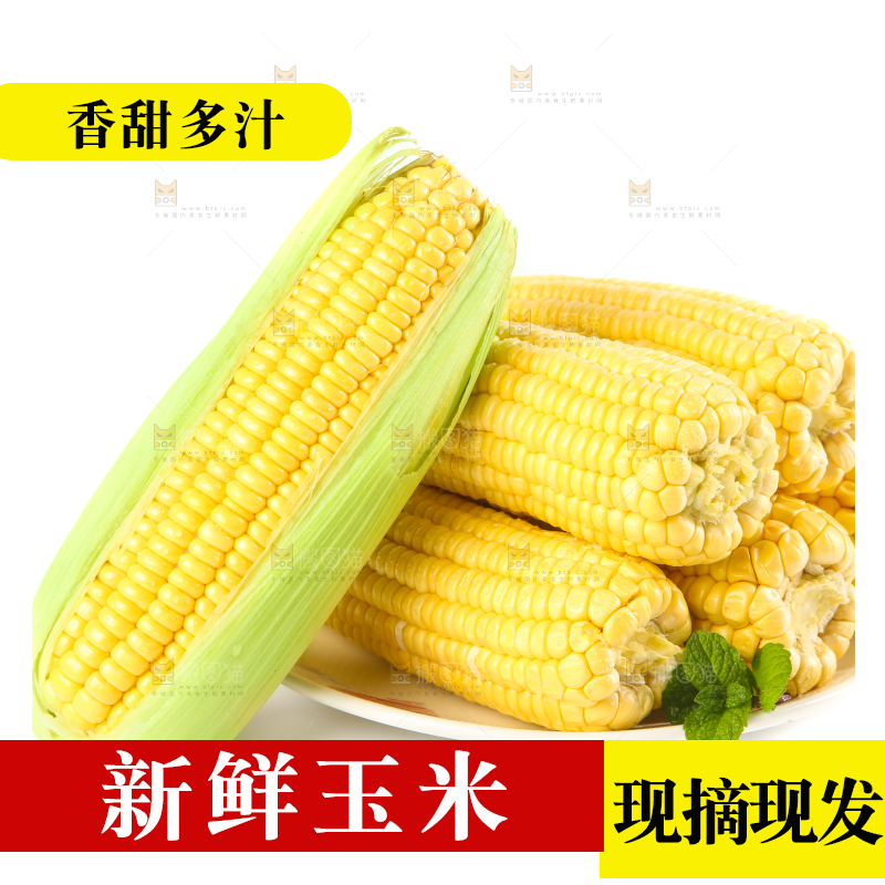 白底上放着一盘黄玉米