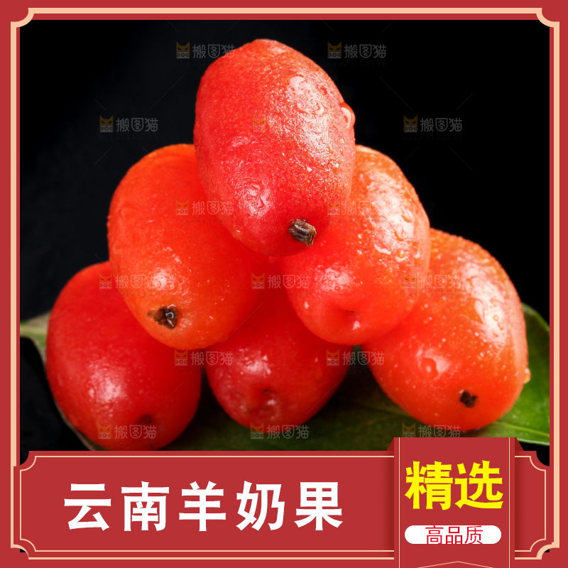 树叶上的云南羊奶果