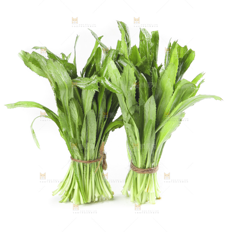 白底上的云南新鲜大香菜