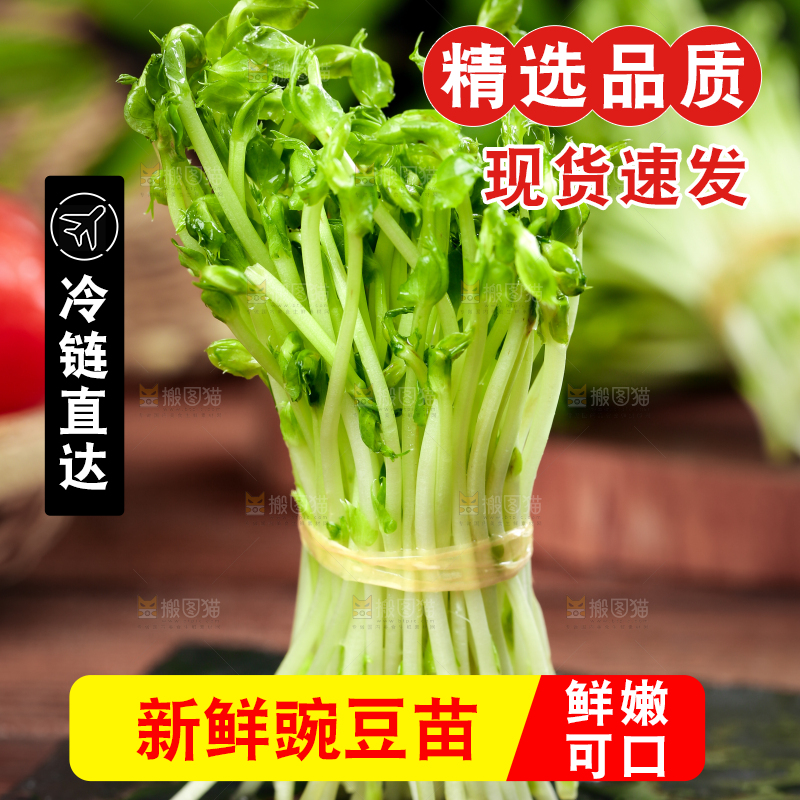 黑石板上的豌豆芽苗菜