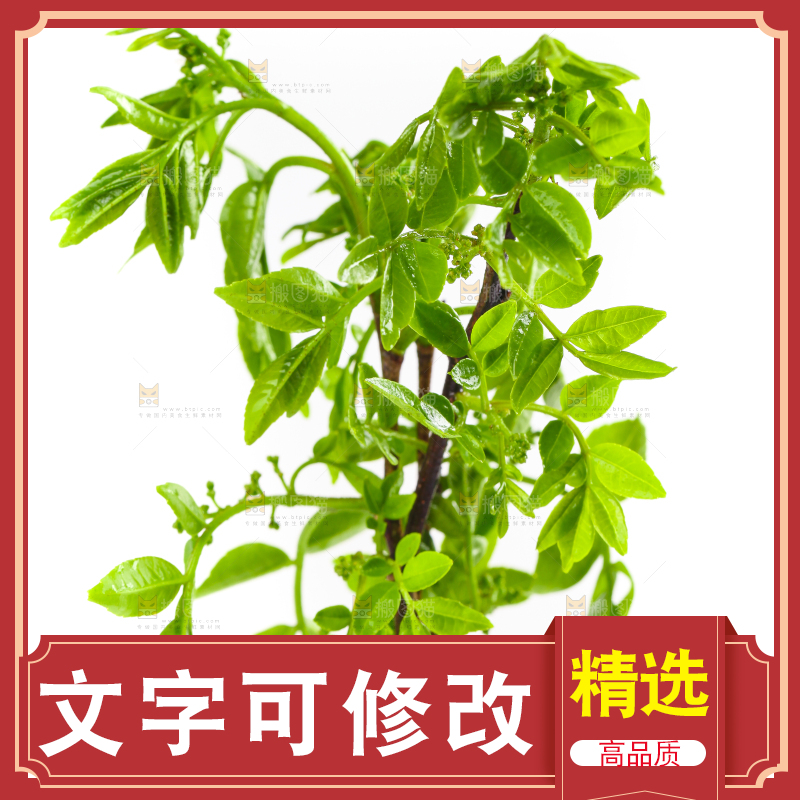 白底上放着花椒芽