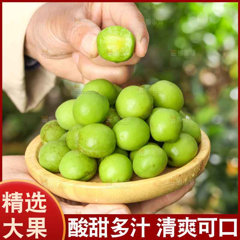 手拿新鲜青梅