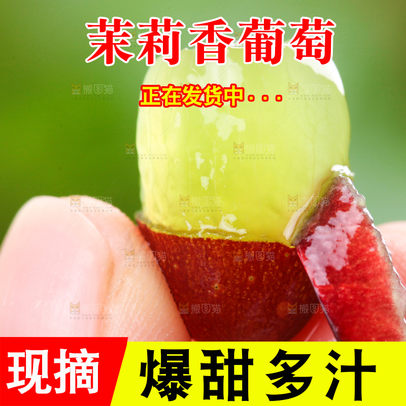 手里拿着茉莉香葡萄