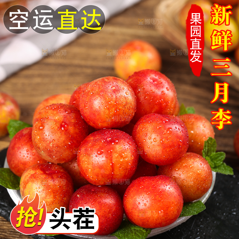 黑石板上放着钱排三月李