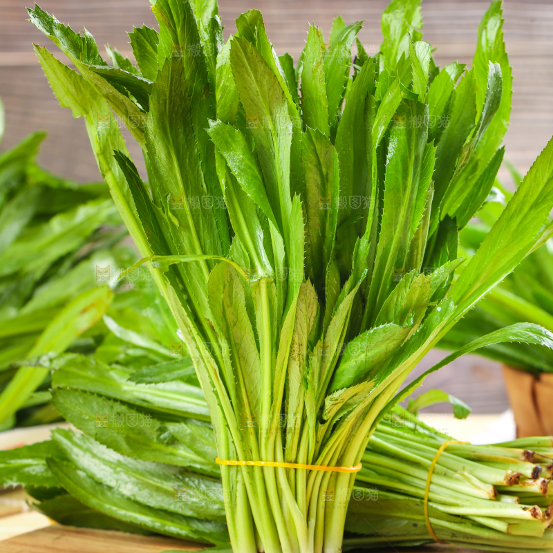 木底上的缅芫荽