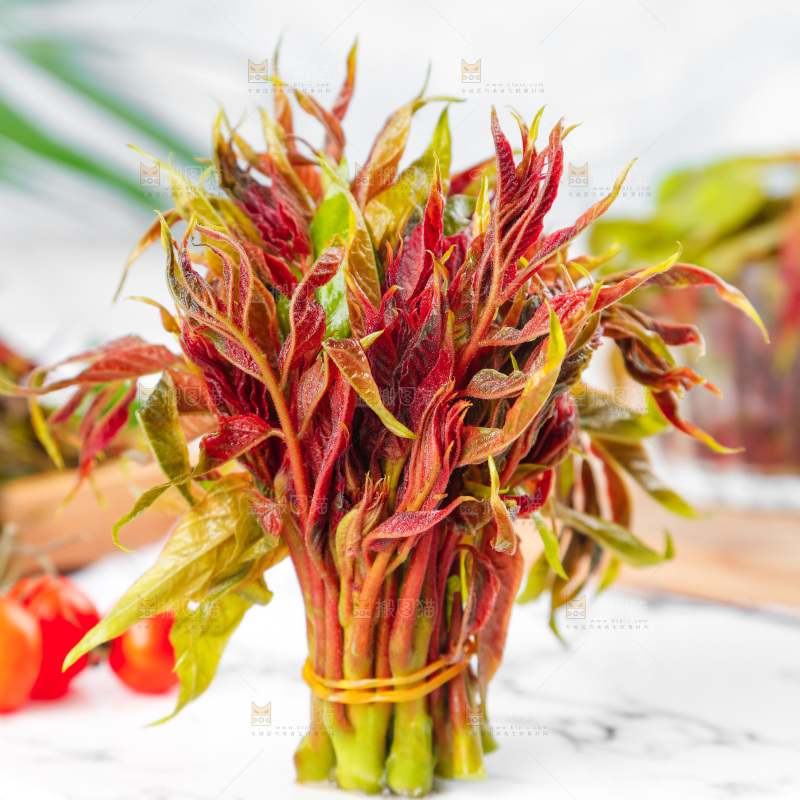 浅底上的香椿芽