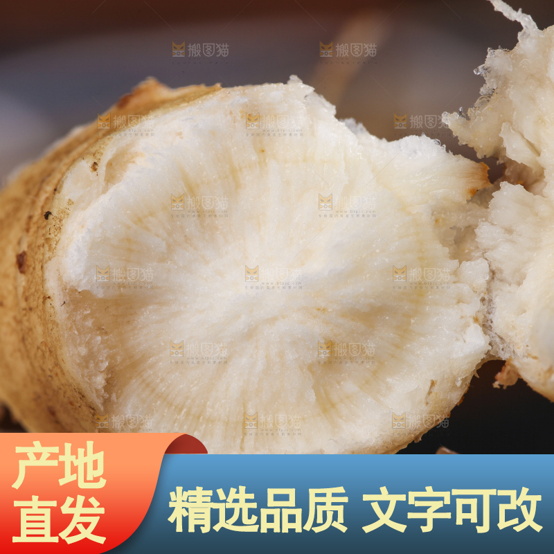 深底上掰开的人参