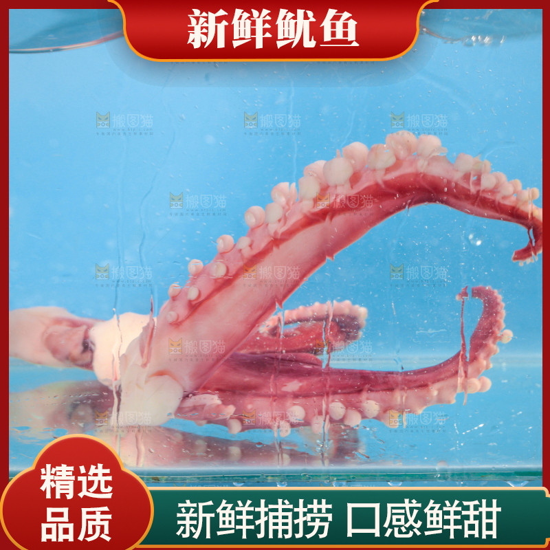 水里放着鱿鱼须