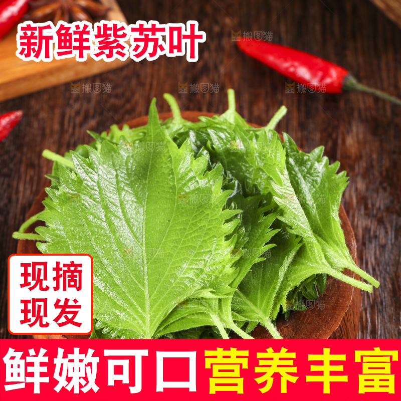 木底上的新鲜紫苏叶