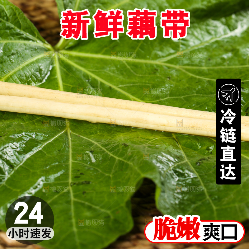 荷叶上放着藕带