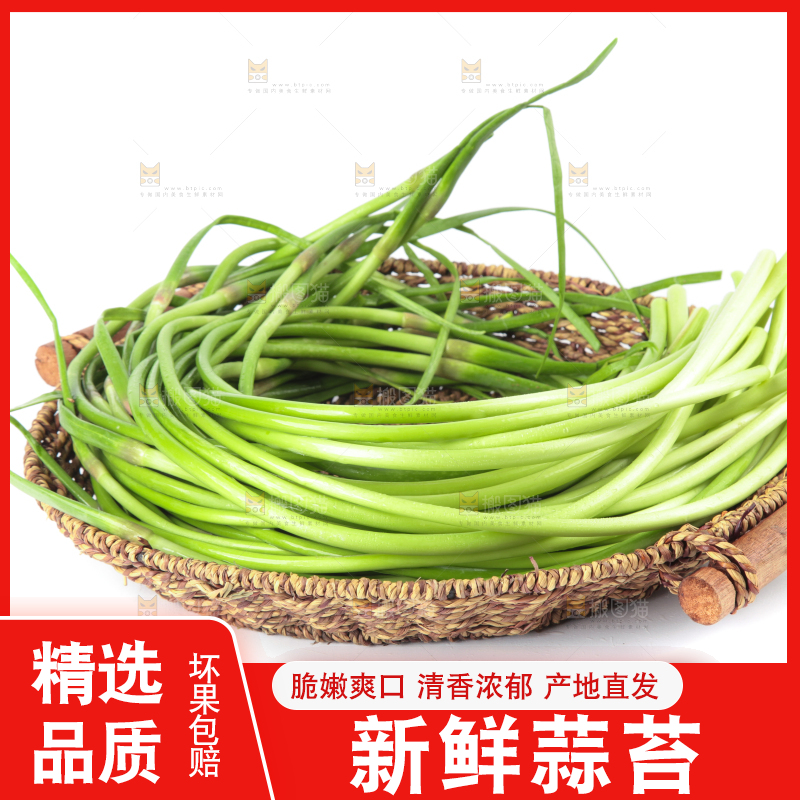 白底上放着一筐山东蒜苔