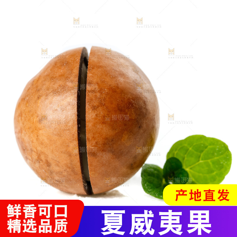 白底上的夏威夷果