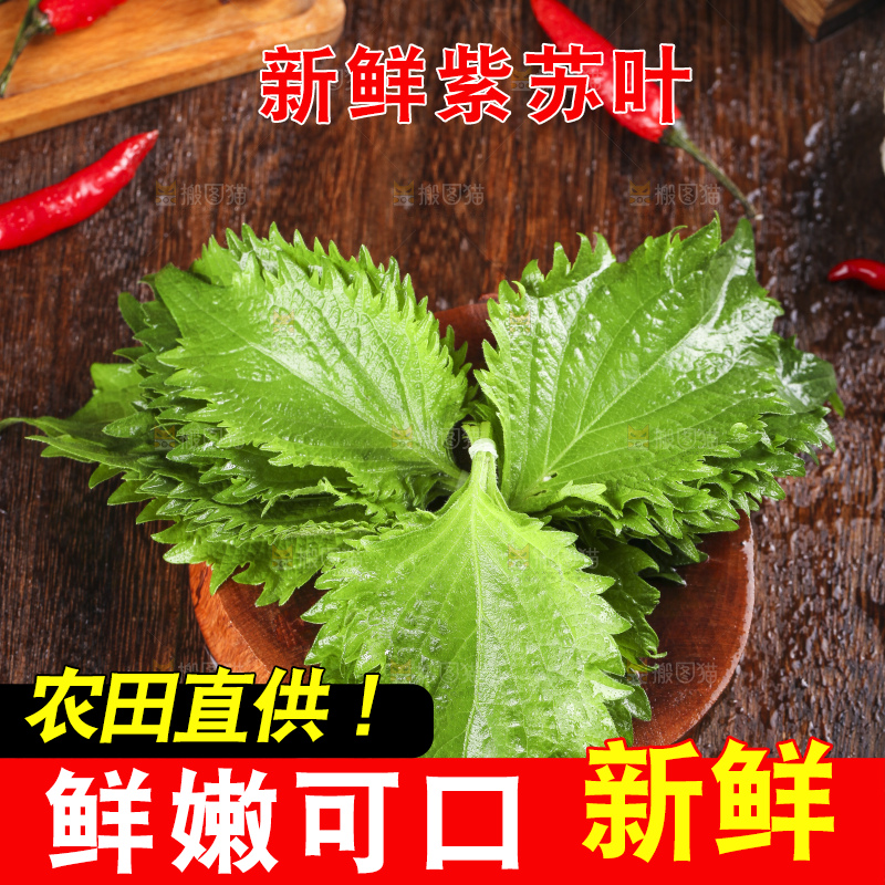 木底上的新鲜紫苏叶