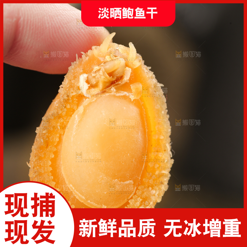 手拿干鲍鱼
