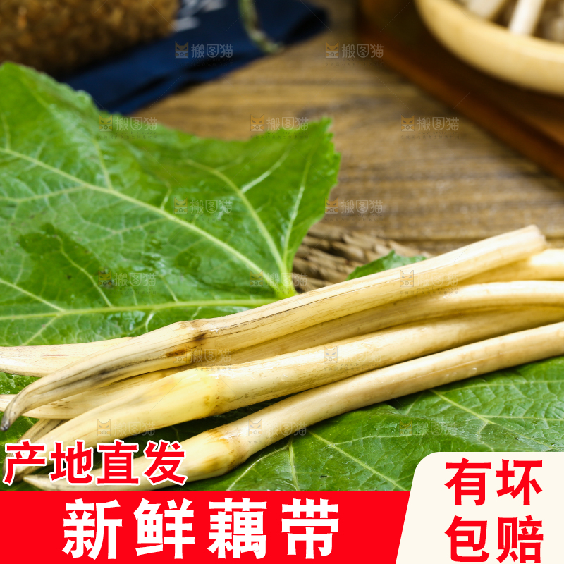 荷叶上放着洪湖藕带