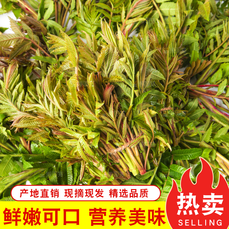 浅底上放着红香椿