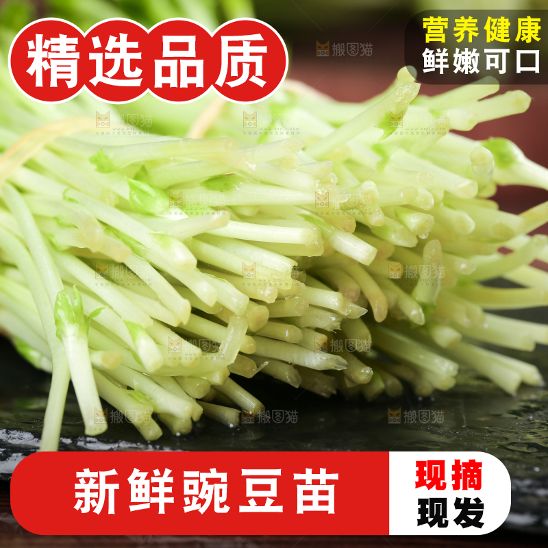 黑石板上的豌豆芽苗菜