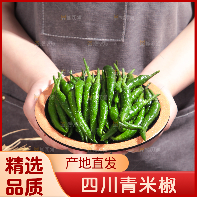 手拿一盘新鲜的青米椒