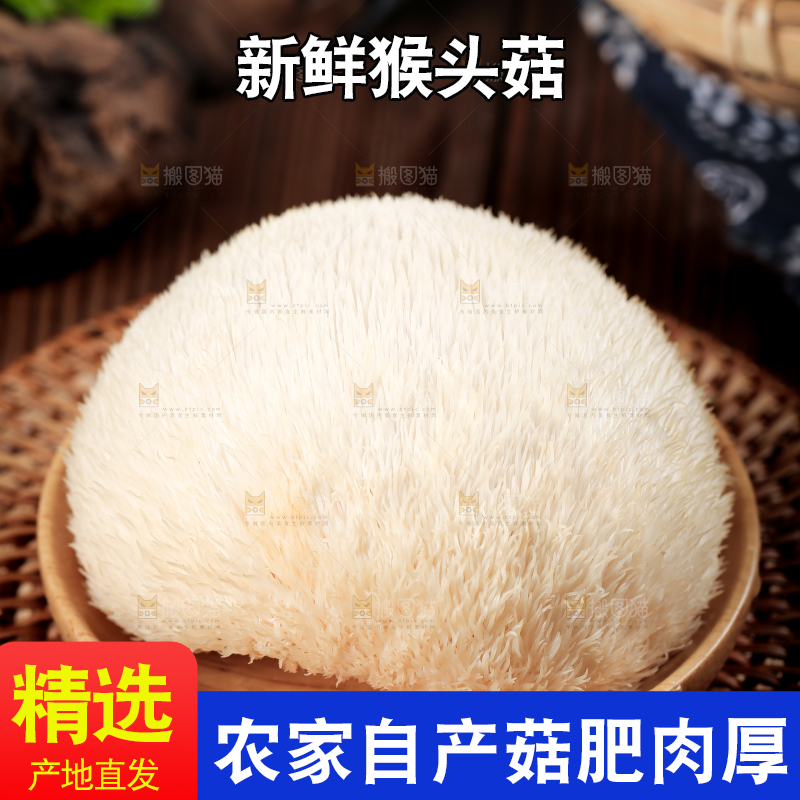 盘子里装着新鲜猴头菇