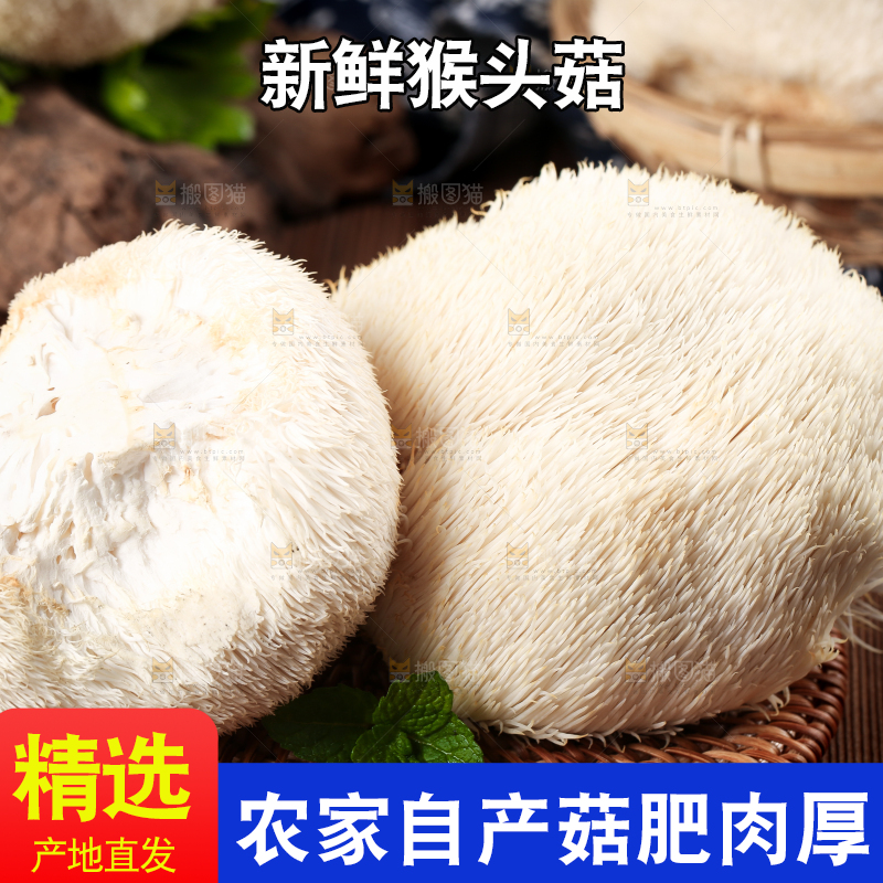 竹底上的云南新鲜猴头菇