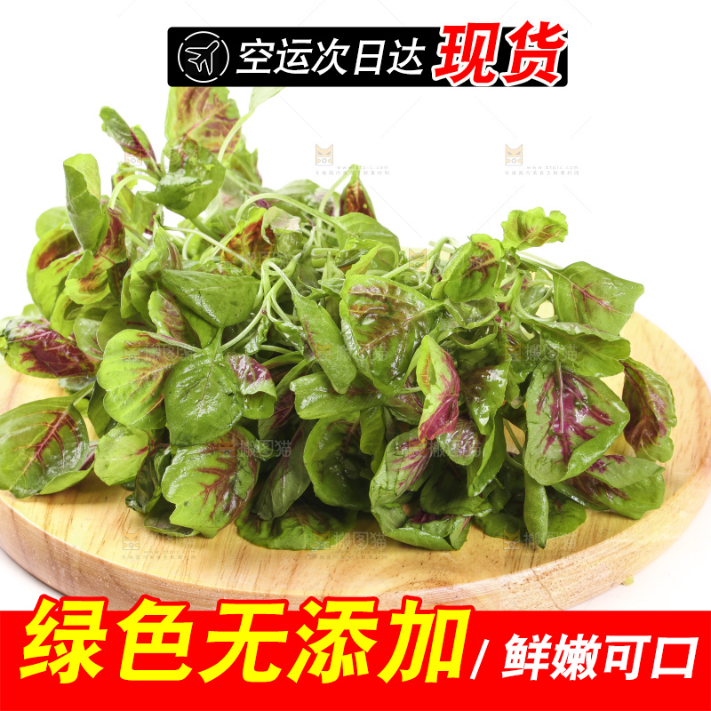 木底上的红苋菜