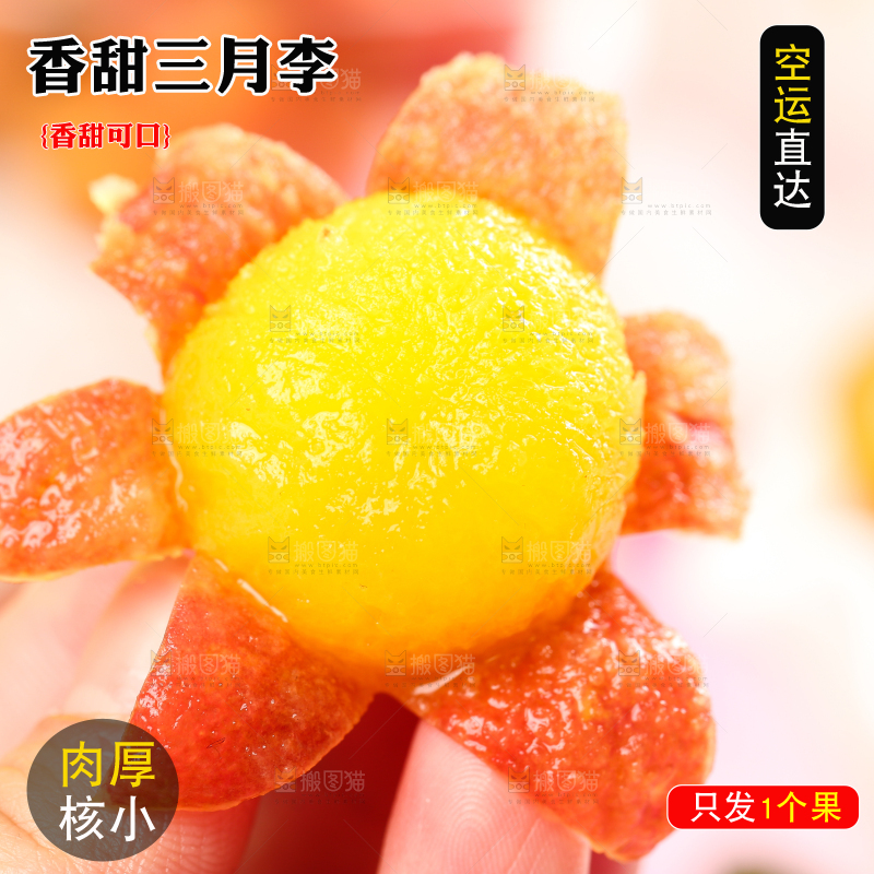 手里拿着新鲜李子
