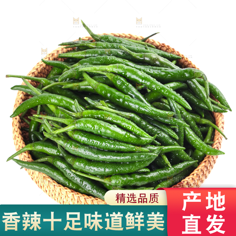 白底上放着一筐新鲜青米椒
