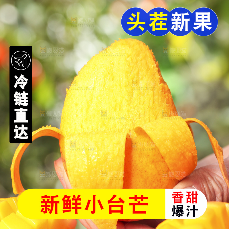手拿剥皮的台农芒果