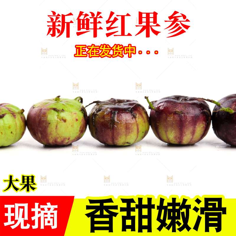 白底上的红果参