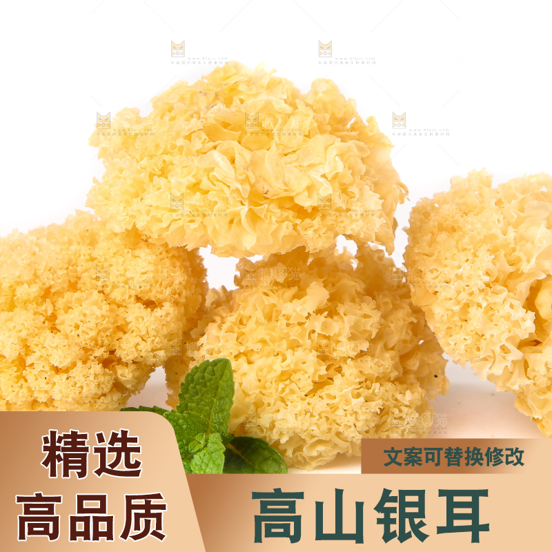 白底上的雪银耳