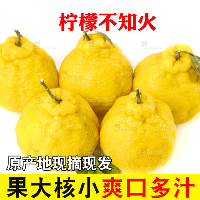 白底上放着四川柠檬不知火